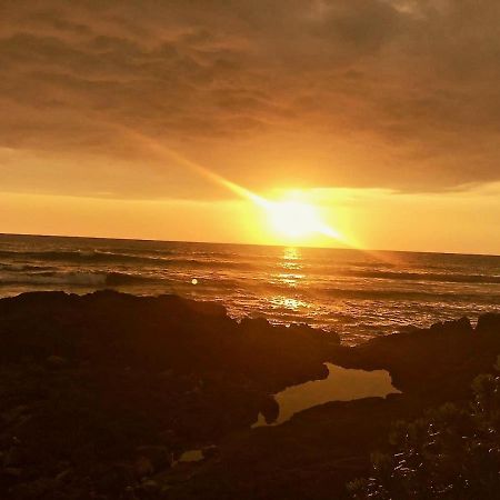 Unwind On Your Fantasy Hawaiian Vacation- 1Bd/1Ba Condo In Kailua-Kona, Hawaii 외부 사진