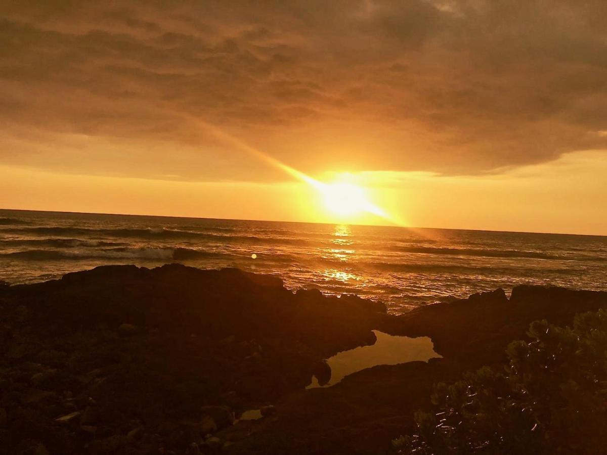 Unwind On Your Fantasy Hawaiian Vacation- 1Bd/1Ba Condo In Kailua-Kona, Hawaii 외부 사진