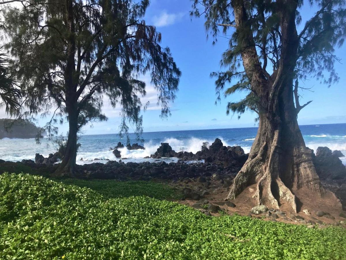 Unwind On Your Fantasy Hawaiian Vacation- 1Bd/1Ba Condo In Kailua-Kona, Hawaii 외부 사진
