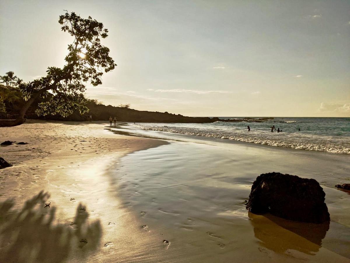 Unwind On Your Fantasy Hawaiian Vacation- 1Bd/1Ba Condo In Kailua-Kona, Hawaii 외부 사진